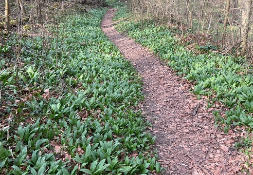 20220325073922-baa54ab6